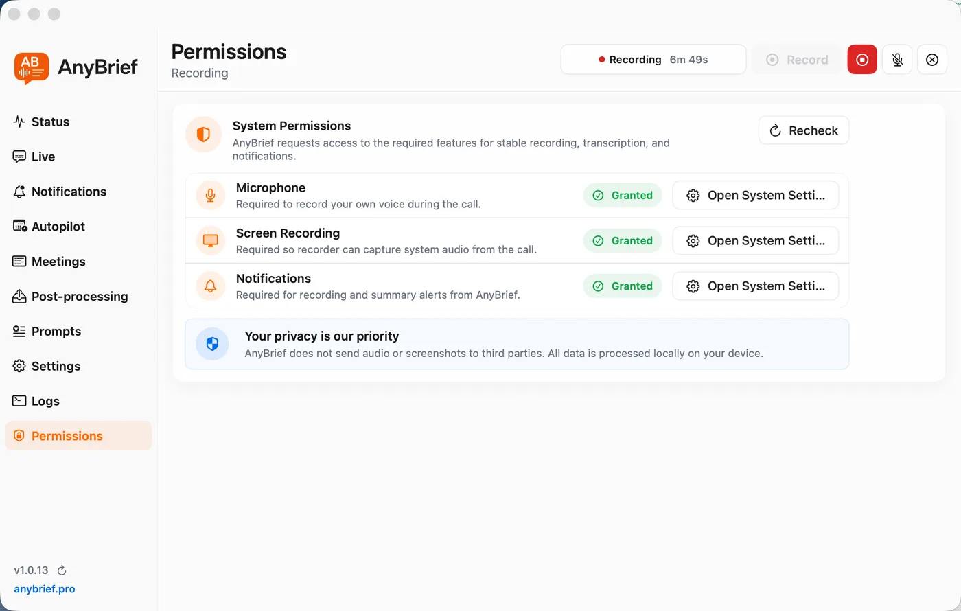 Экран Permissions в AnyBrief: статус системных разрешений